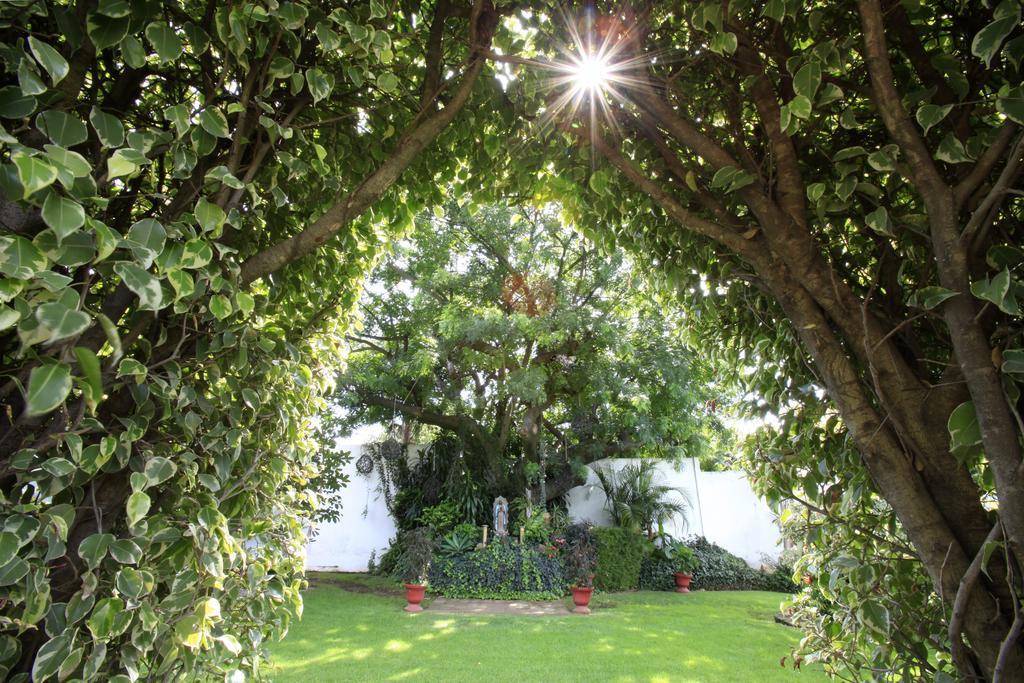 Villa Bejar Cuernavaca Zewnętrze zdjęcie